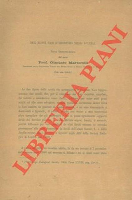 Due nuovi casi d'ibridismo negli uccelli - Giacinto Martorelli - copertina