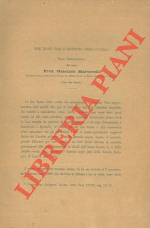 Due nuovi casi d'ibridismo negli uccelli - Giacinto Martorelli - copertina