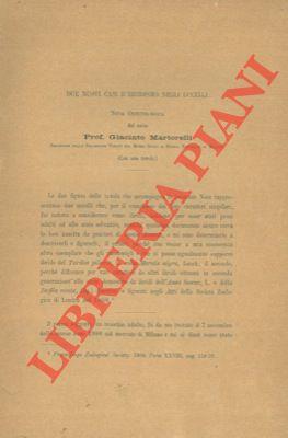 Libreria Piani