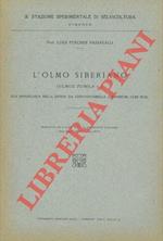 L' olmo siberiano (Ulmus pumila L.) sua importanza nella difesa da Ceratostomella (Graphium) ulmi Buis.