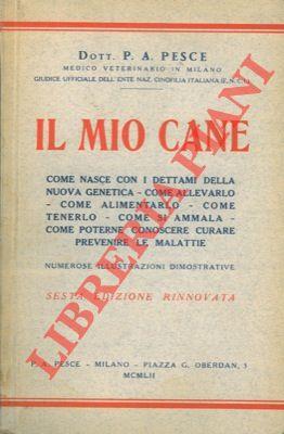 Libreria Piani
