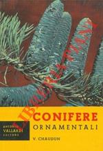 Conifere ornamentali