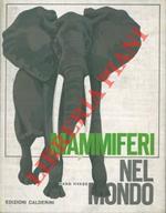 Mammiferi nel mondo