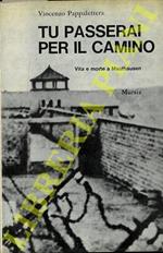 Tu passerai per il camino. Vita e morte a Mauthausen