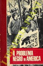 Il problema negro in America