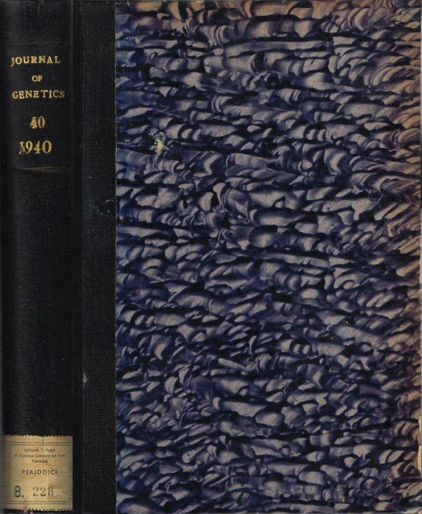 Biblioteca di Babele