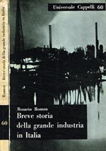 Breve storia della grande industria in Italia