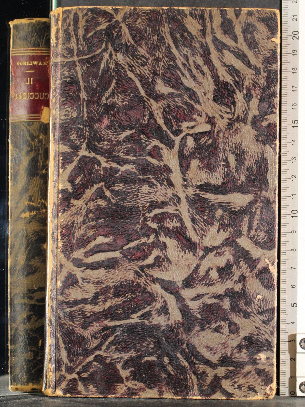 Cartarum