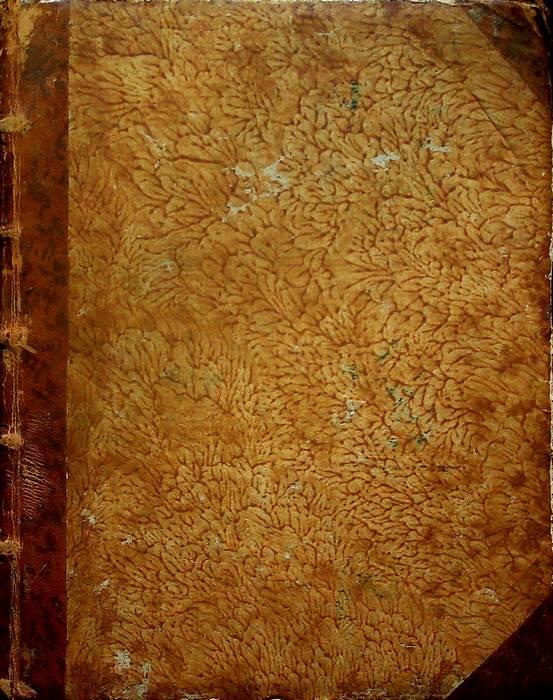 Studio Bibliografico Adige