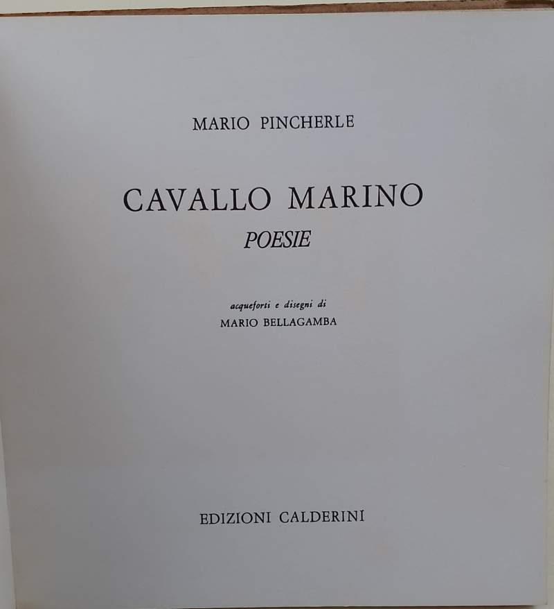 Cavallo Marino-Poesie 
