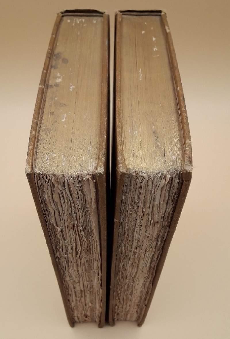 PERSIAN LITERATURE-THE SHAR NAMEH, THE RUBAIYAT THE DIVAN AND THE GULISTAN-2 voll.