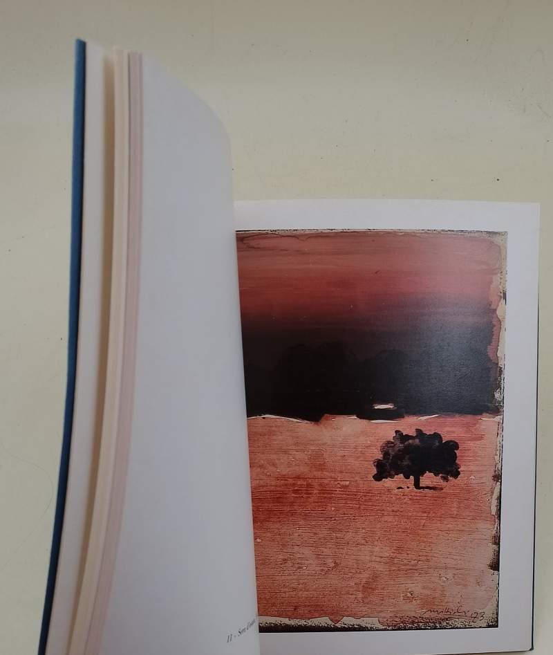 ACQUARELLI E TEMPERE DI CARLO MATTIOLI