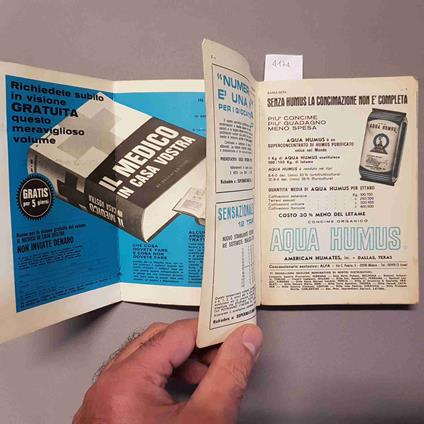 Barba Nera Di Foligno Per L'Anno Bisestile - copertina