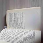 L' Incubo Fantasy Horror Daniel Quinn 1°Edizione Editrice Nord