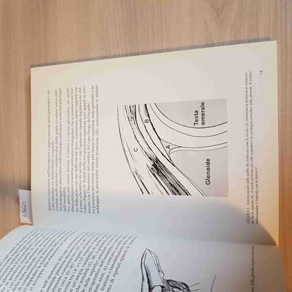 L' Instabilità Di Spalla - Castelli, Grassi - copertina