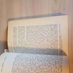 Magia Egizia Thot Amenofi Iv Osiride - Wallis Budge - Fratelli Melita