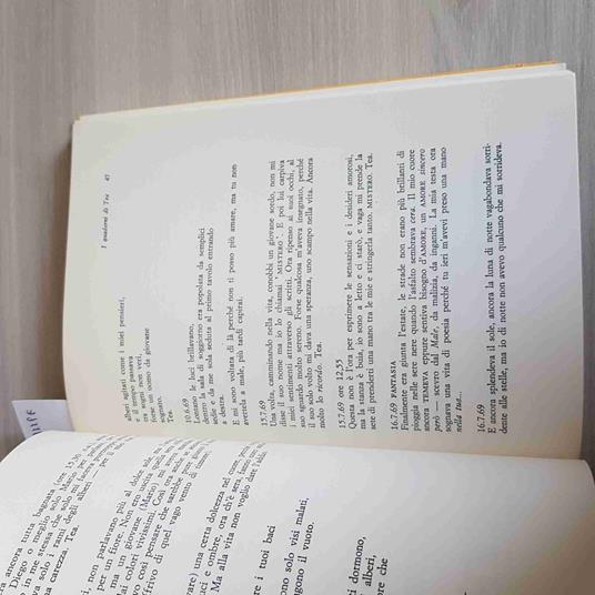 I Quaderni Di Tea Tragedia Di Una Malata Mentale Petiziol - copertina