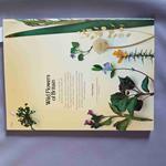 Wild Flowers Of Britain Roger Phillips