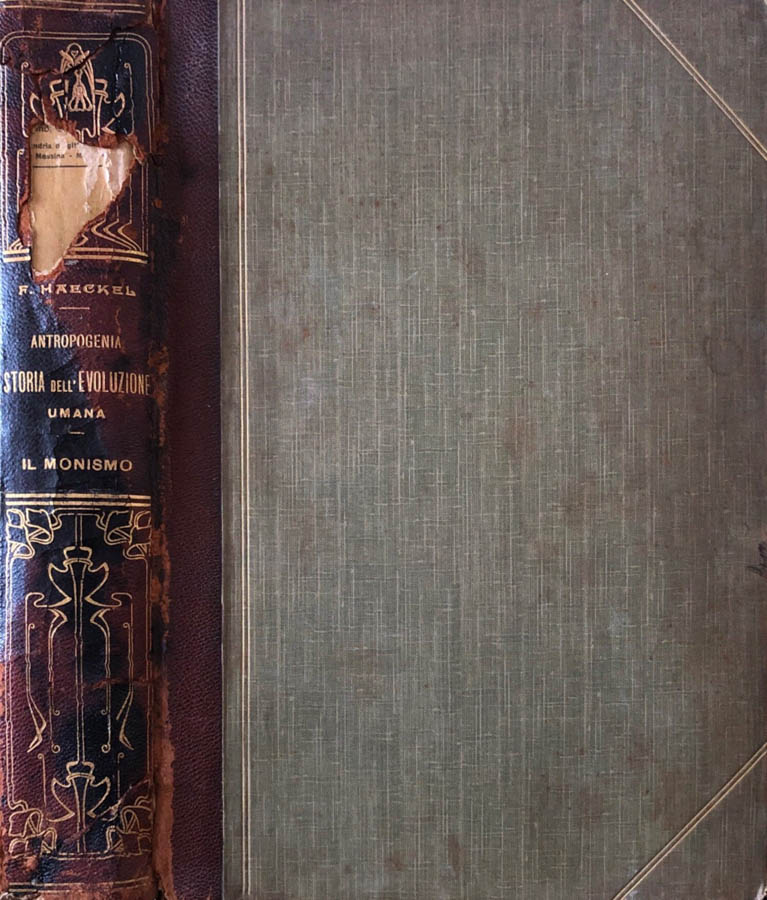Biblioteca di Babele