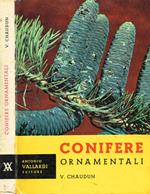Conifere ornamentali