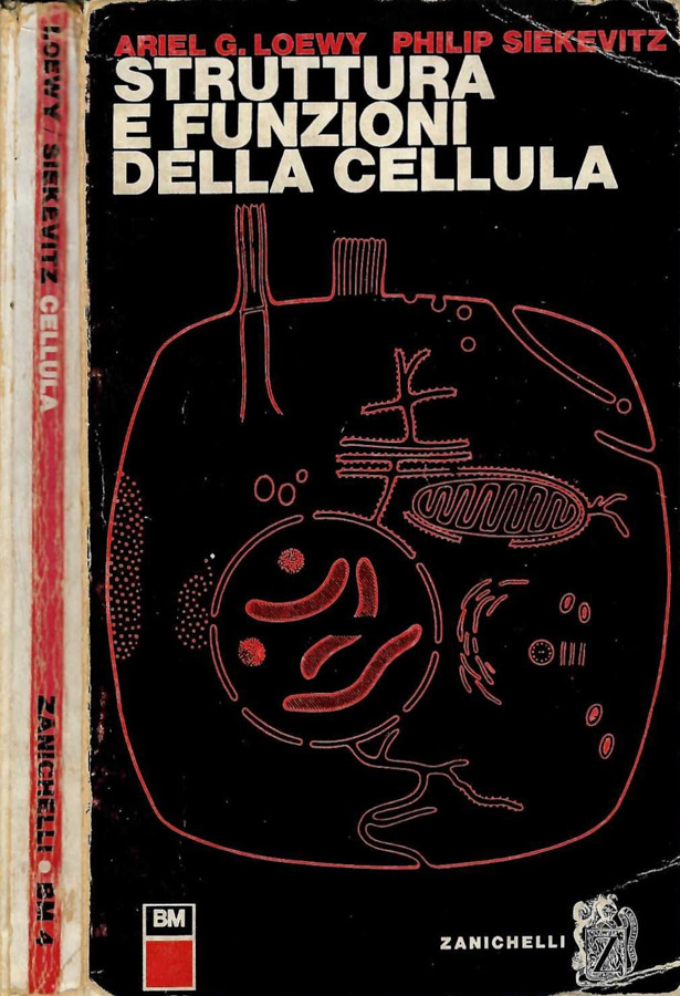 Biblioteca di Babele