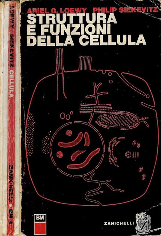 Struttura e funzioni della cellula - Ariel G. Loewy - copertina