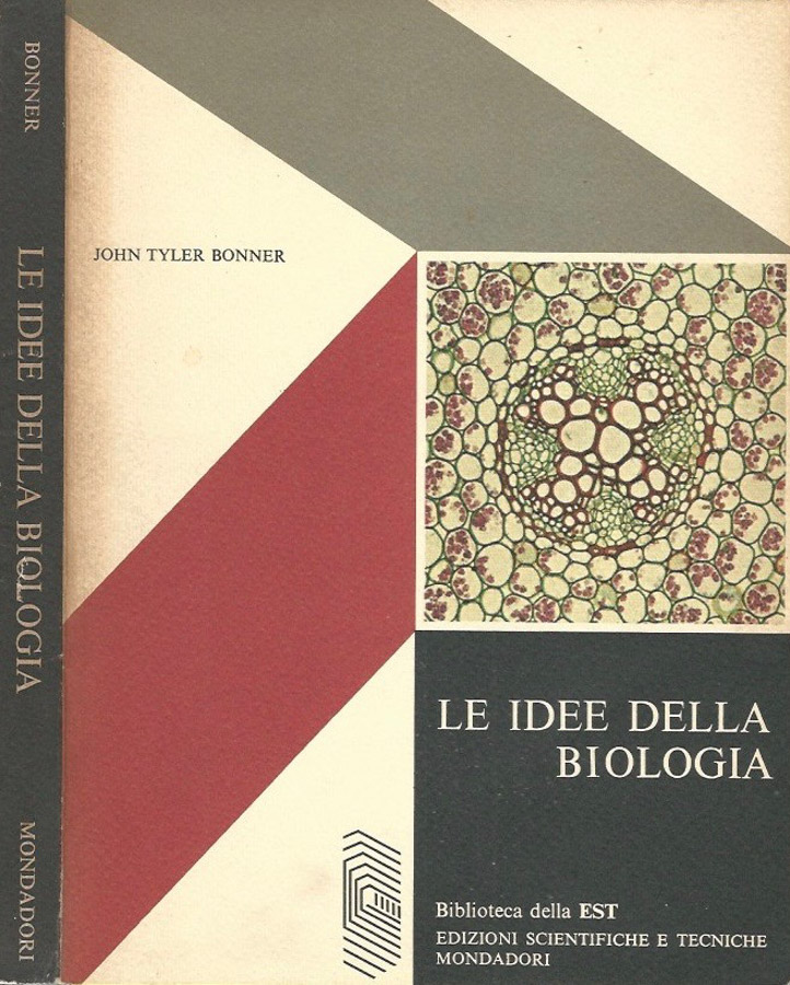 Biblioteca di Babele