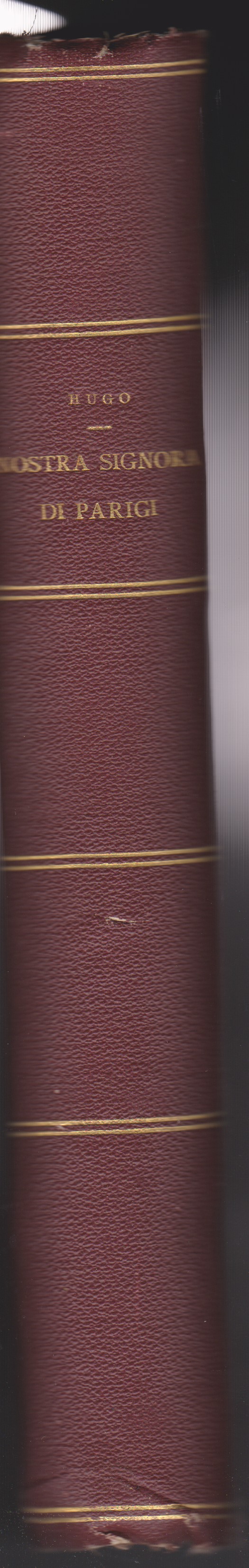 Libreria Tara