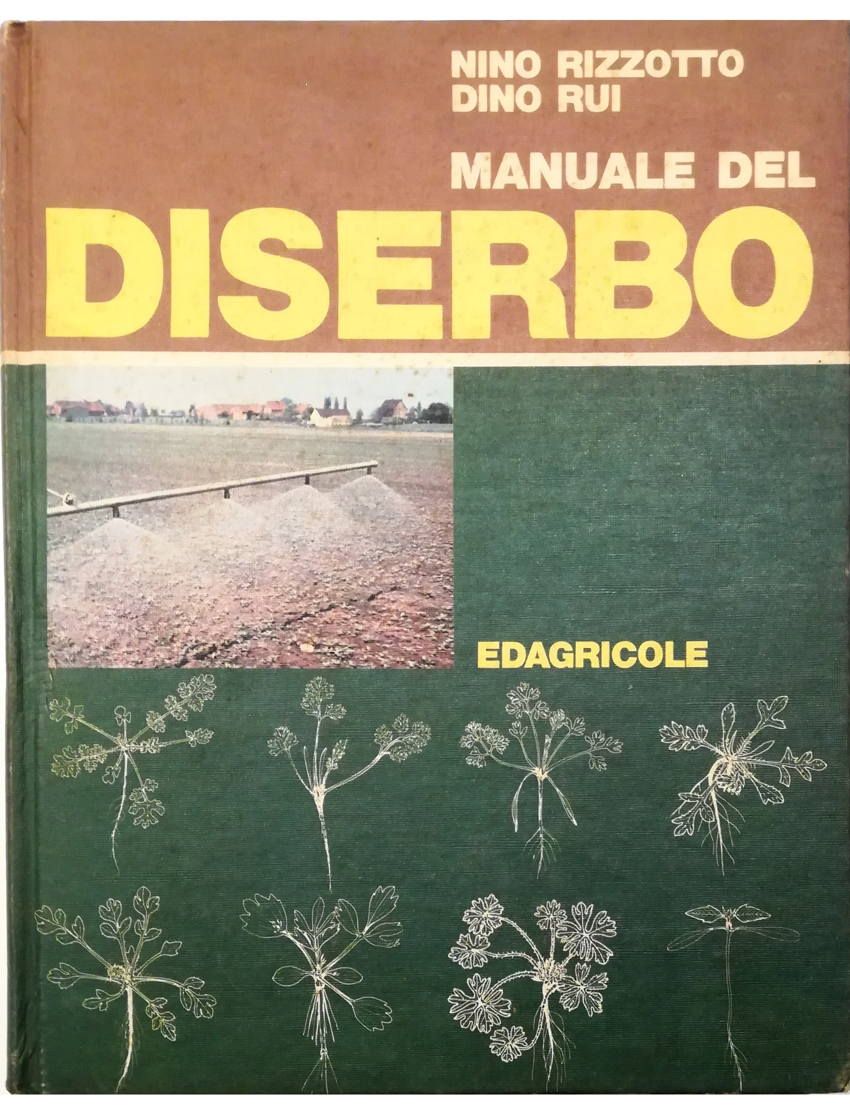 Libreria Tara