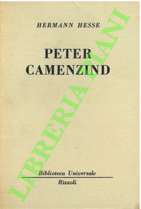Peter Camenzind.