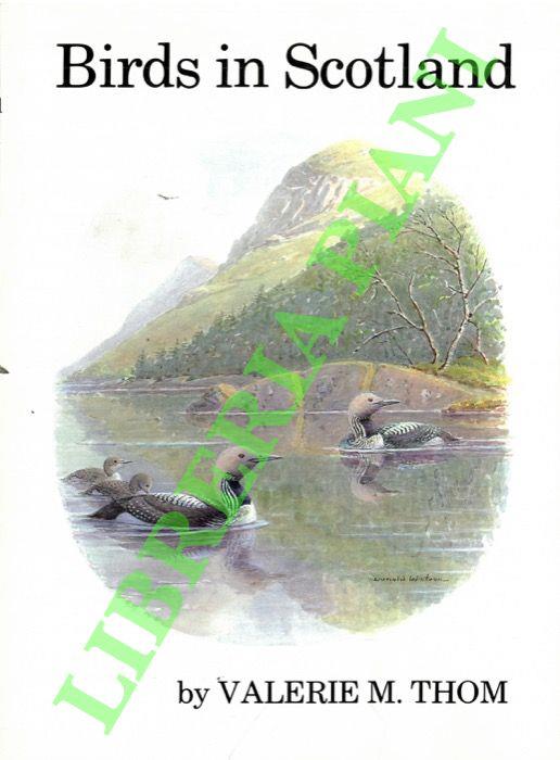 Birds in Scotland - copertina