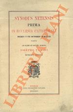 Synodus Netensis prima in Ecclesia Cathedrali diebus V-VII Octobris MCMXXIII