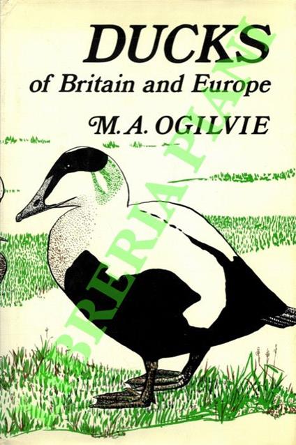 Ducks of Britain and Europe. - copertina