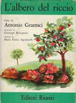 L' albero del riccio