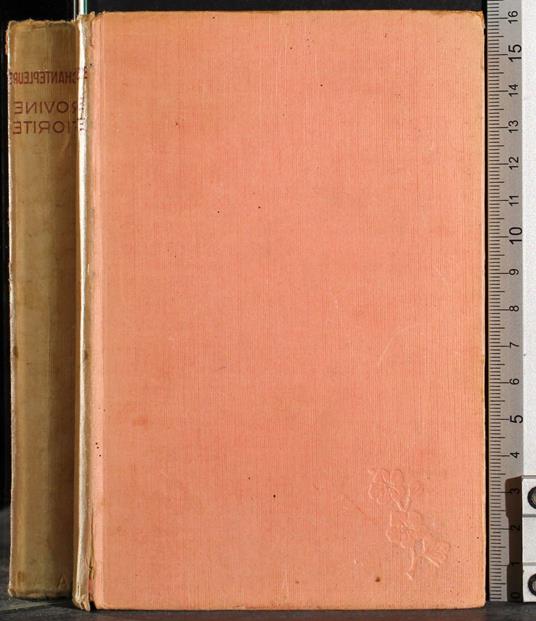 Rovine Fiorite - Guy Chantepleure - copertina