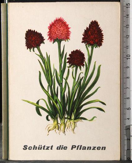 Schutzt die Pflanzen - copertina