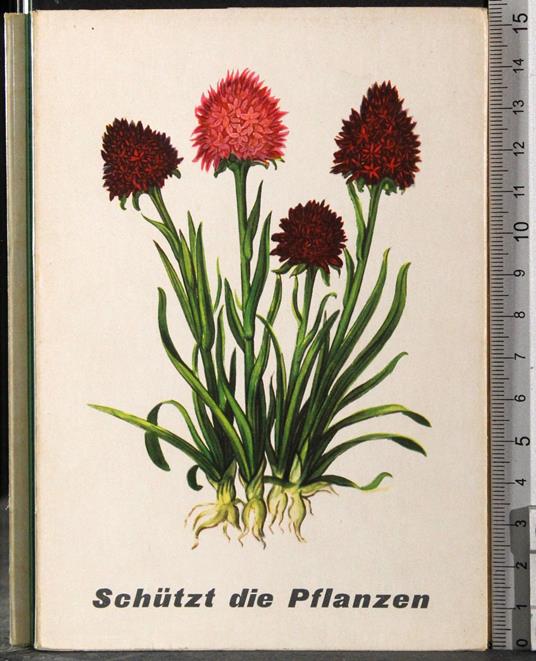 Schutzt die Pflanzen - copertina