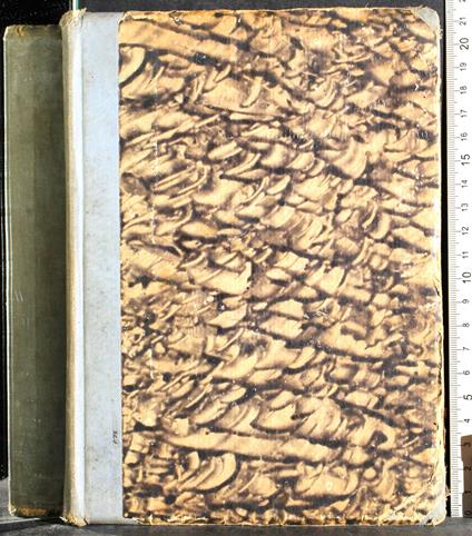 Preparazione esami Stato ammissione scuole medie - Ernesto Balducci - copertina