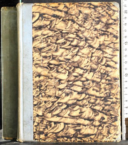 Preparazione esami Stato ammissione scuole medie - Ernesto Balducci - copertina