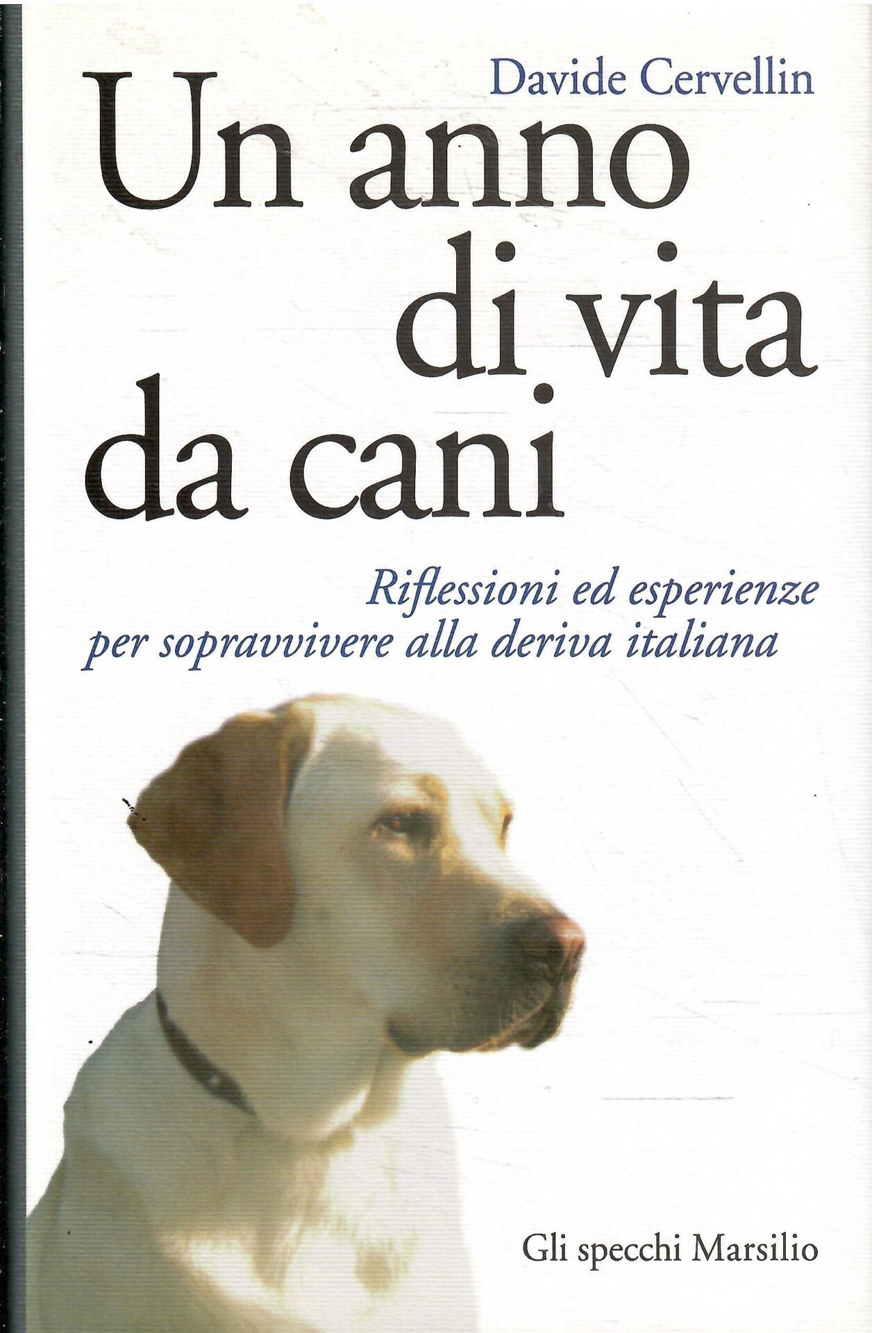 Libroteka di Fattoretti Silvia