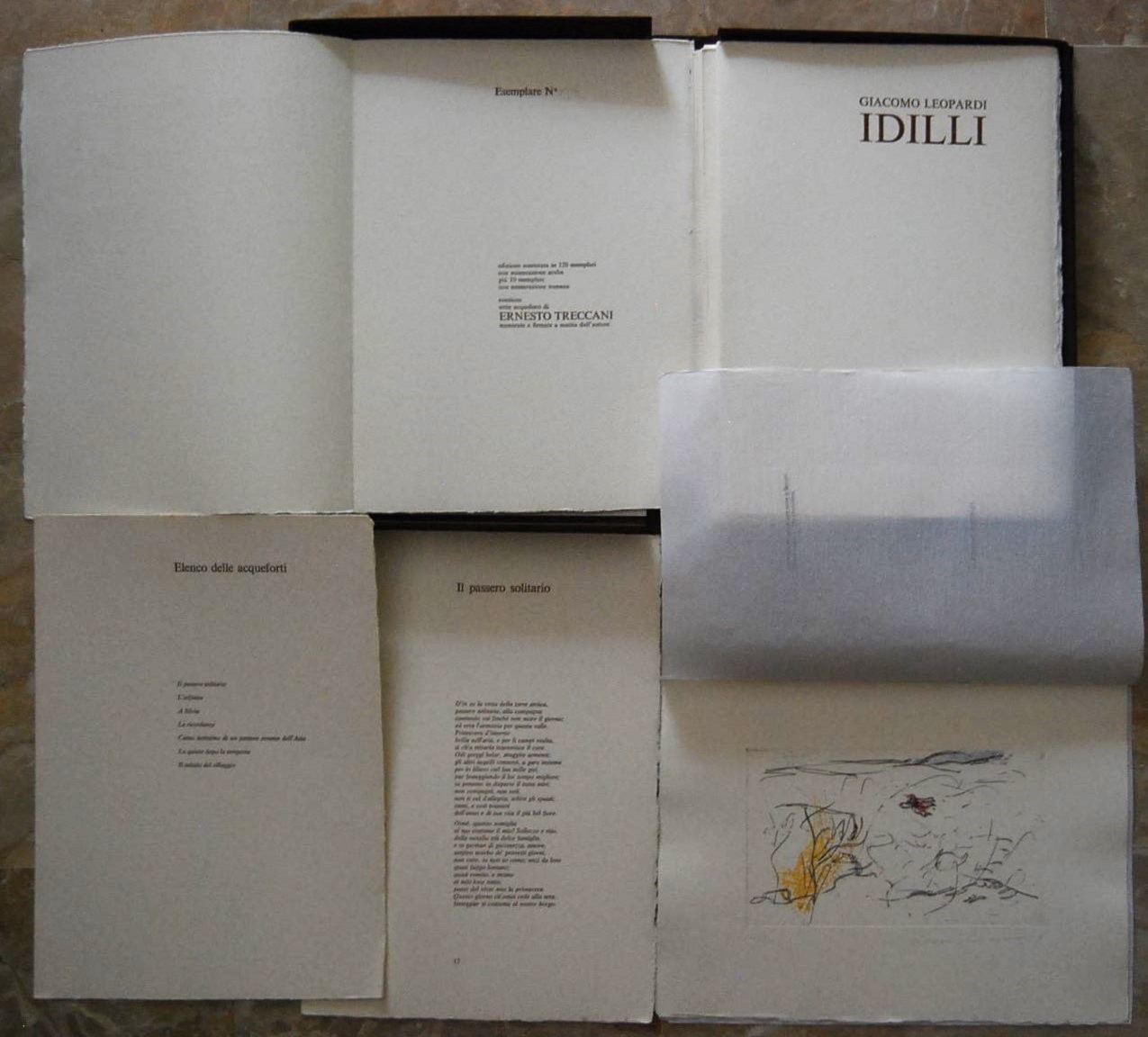 Studio bibliografico Olubra