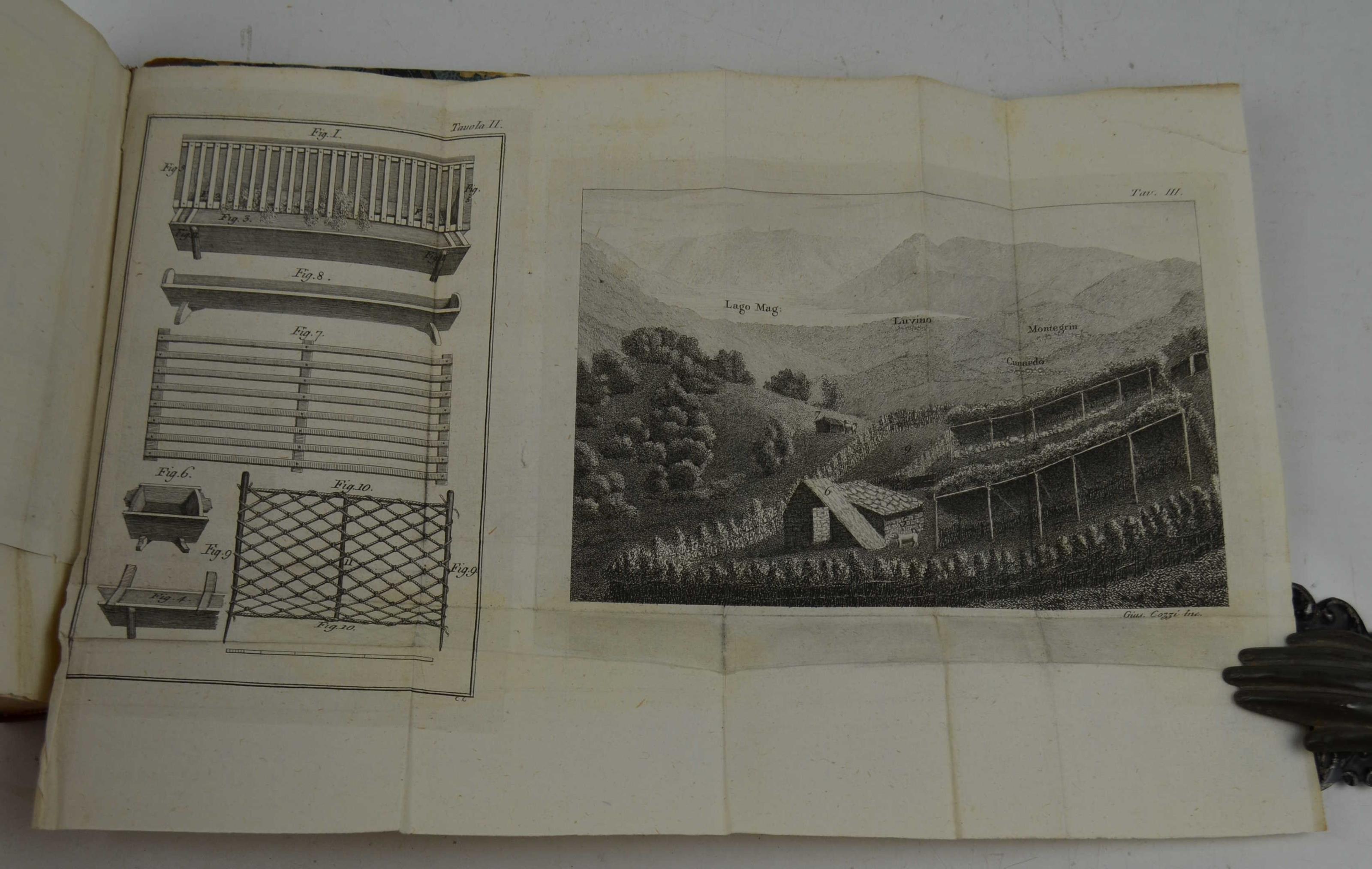 Del governo delle pecore spagnuole e italiane e dei vantaggi che ne derivano