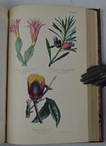 Botanique. Organographie et taxonomie. Histoire naturelle des familles végétales et des principales espèces suivant la classification de M. adrien de Jussieu…