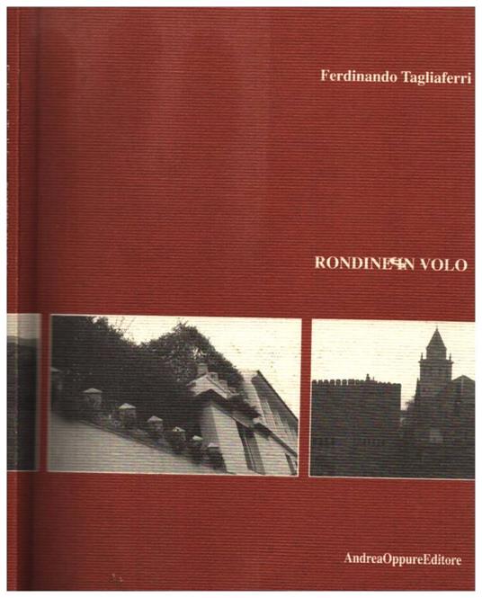Rondine in volo - Carla Tagliaferri - copertina