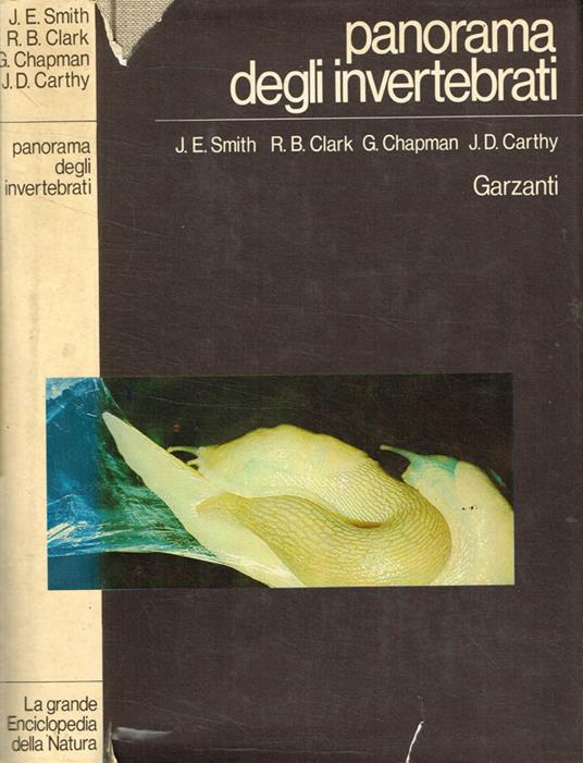 Panorama degli invertebrati - copertina
