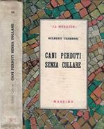 Cani perduti senza collare