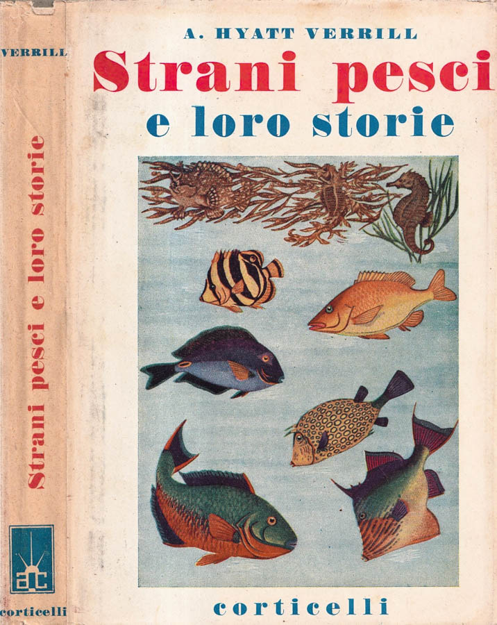 Biblioteca di Babele