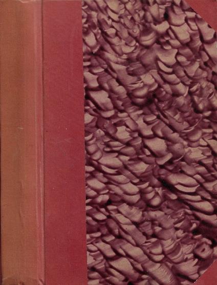 L' Institutrice a Berlin - copertina