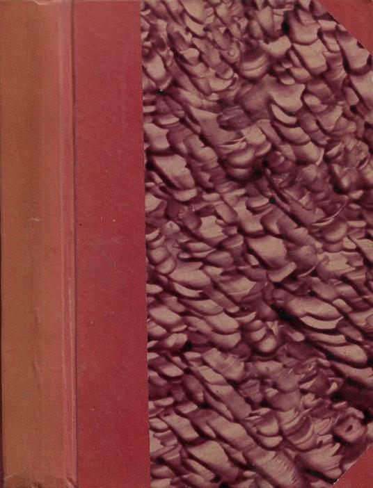 L' Institutrice a Berlin - copertina