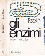 Gli enzimi